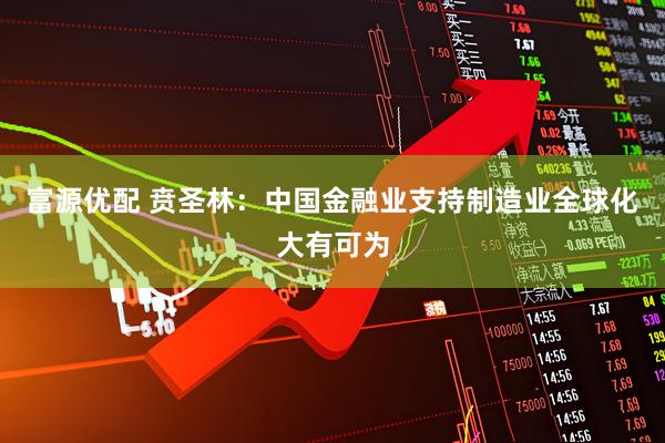 富源优配 贲圣林：中国金融业支持制造业全球化大有可为