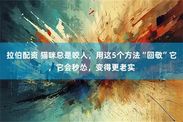 拉伯配资 猫咪总是咬人，用这5个方法“回敬”它，它会秒怂，变得更老实